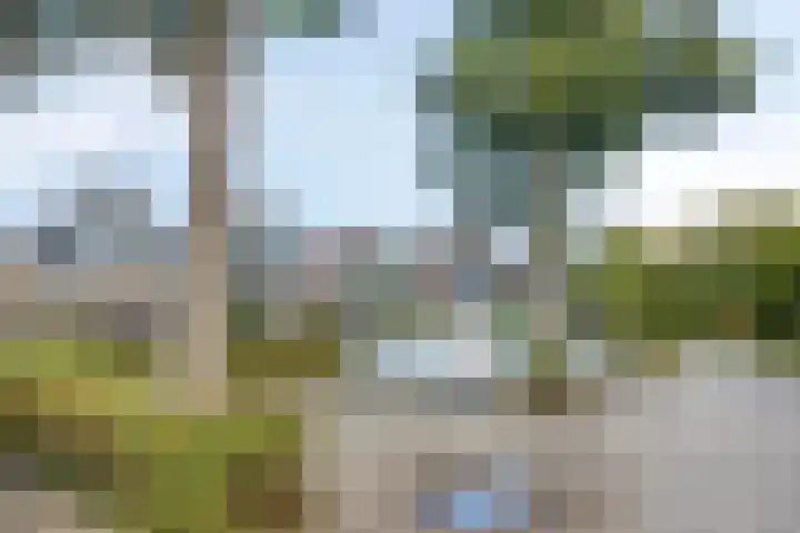 Vosbergen 32 Ugchelen thumbnail 23