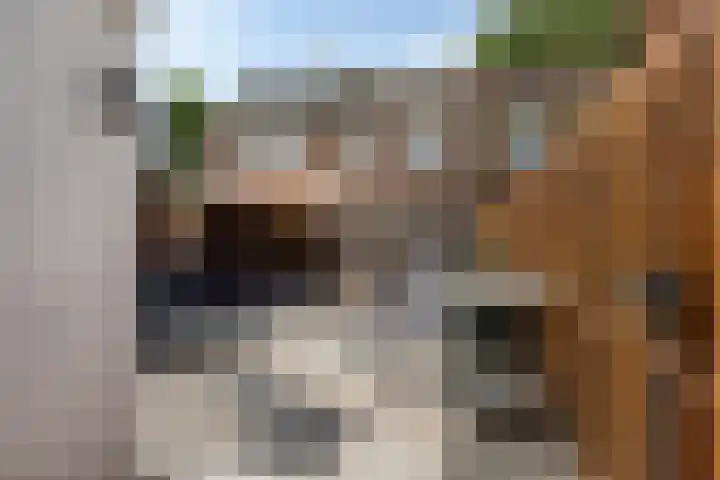 Vosbergendam 13 Rotterdam thumbnail 24