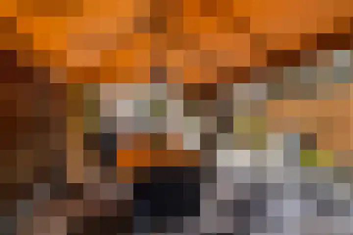 Vosbergendam 13 Rotterdam thumbnail 27