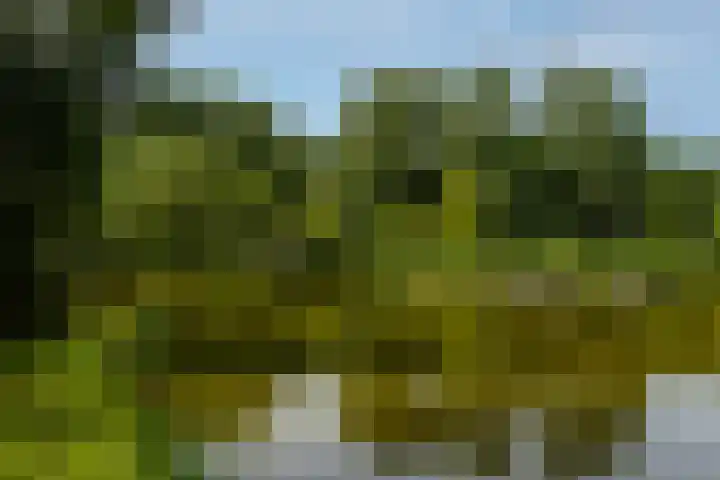 Vosbergendam 13 Rotterdam thumbnail 36