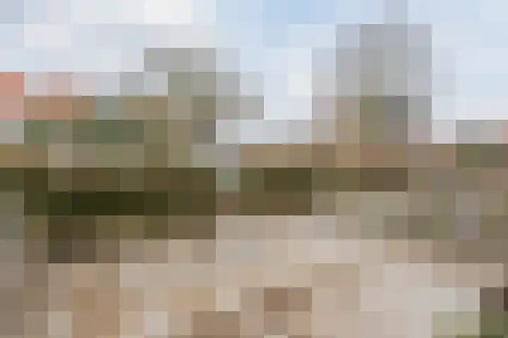 Vosbergerhout 79 Harderwijk thumbnail 4
