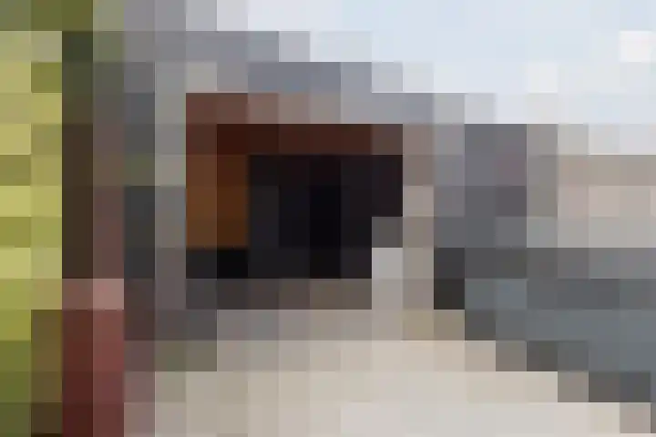 Vosbergerhout 79 Harderwijk thumbnail 40