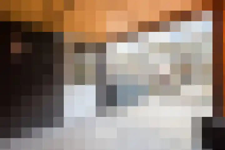 Vosbergerhout 79 Harderwijk thumbnail 43