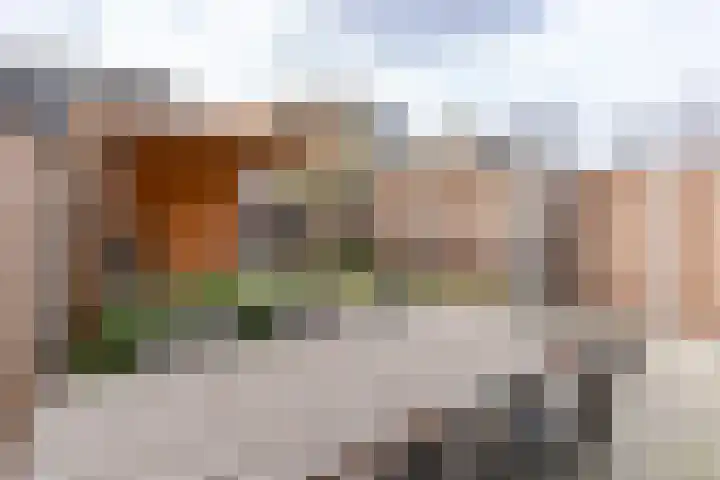 Vosbergerhout 91 Harderwijk thumbnail 25