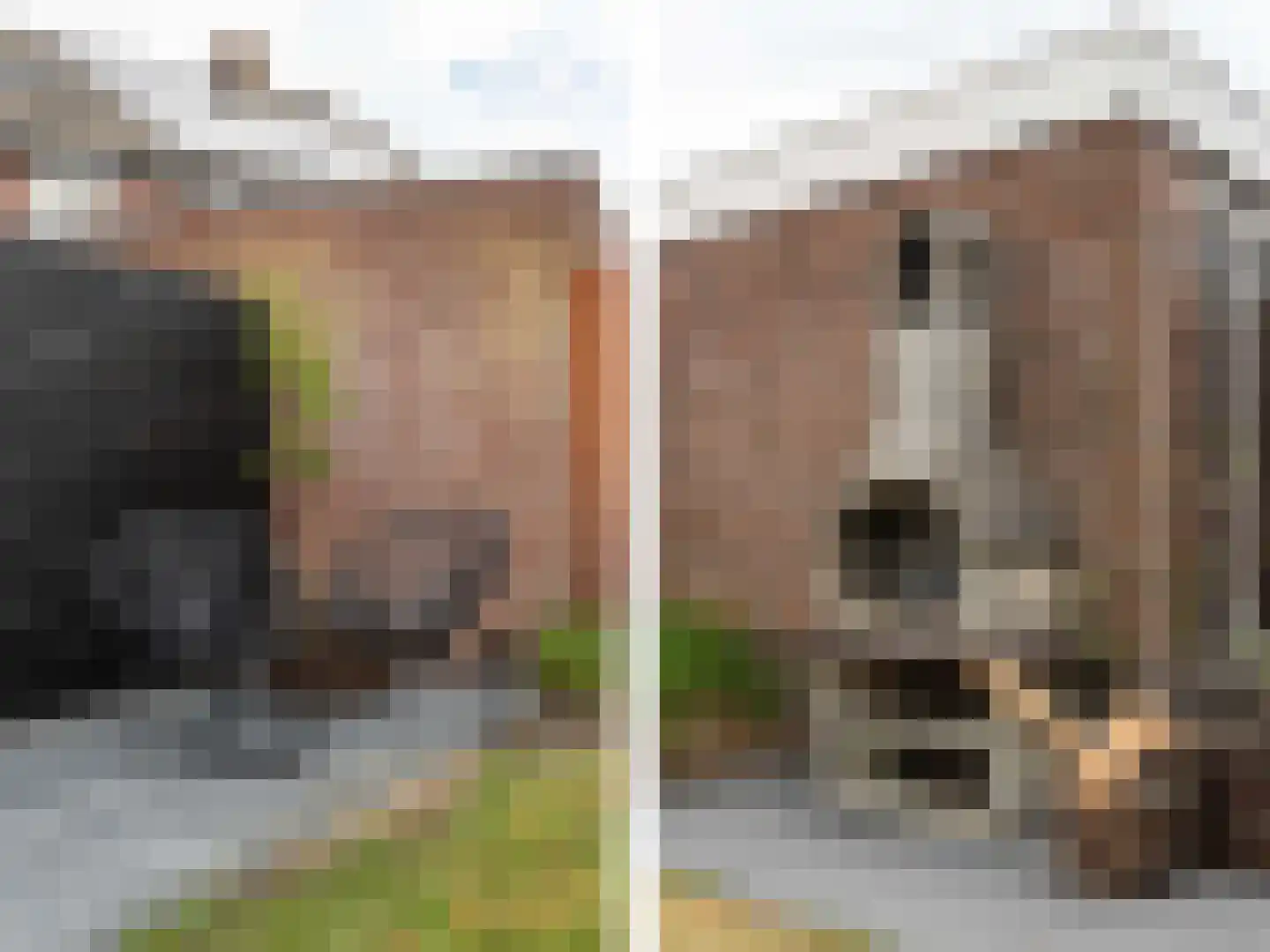 Vosbergerweg 21 Heerde thumbnail 37