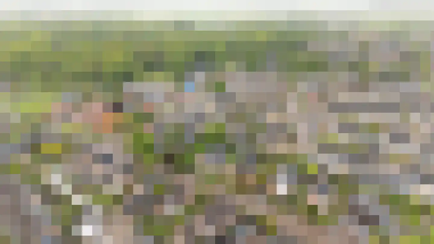 Vosbergerweg 21 Heerde thumbnail 40