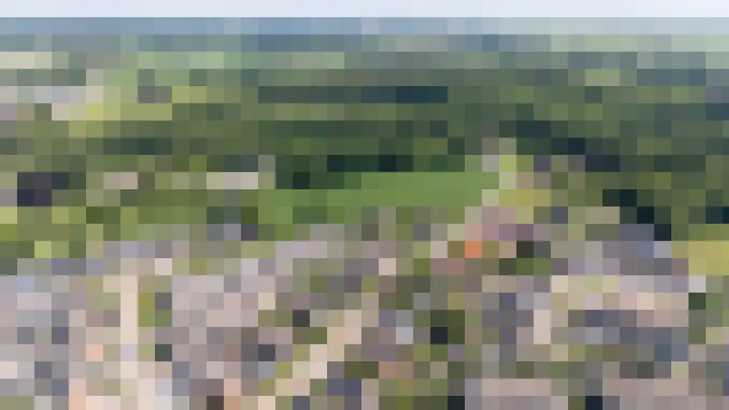 Vosbergerweg 21 Heerde thumbnail 43