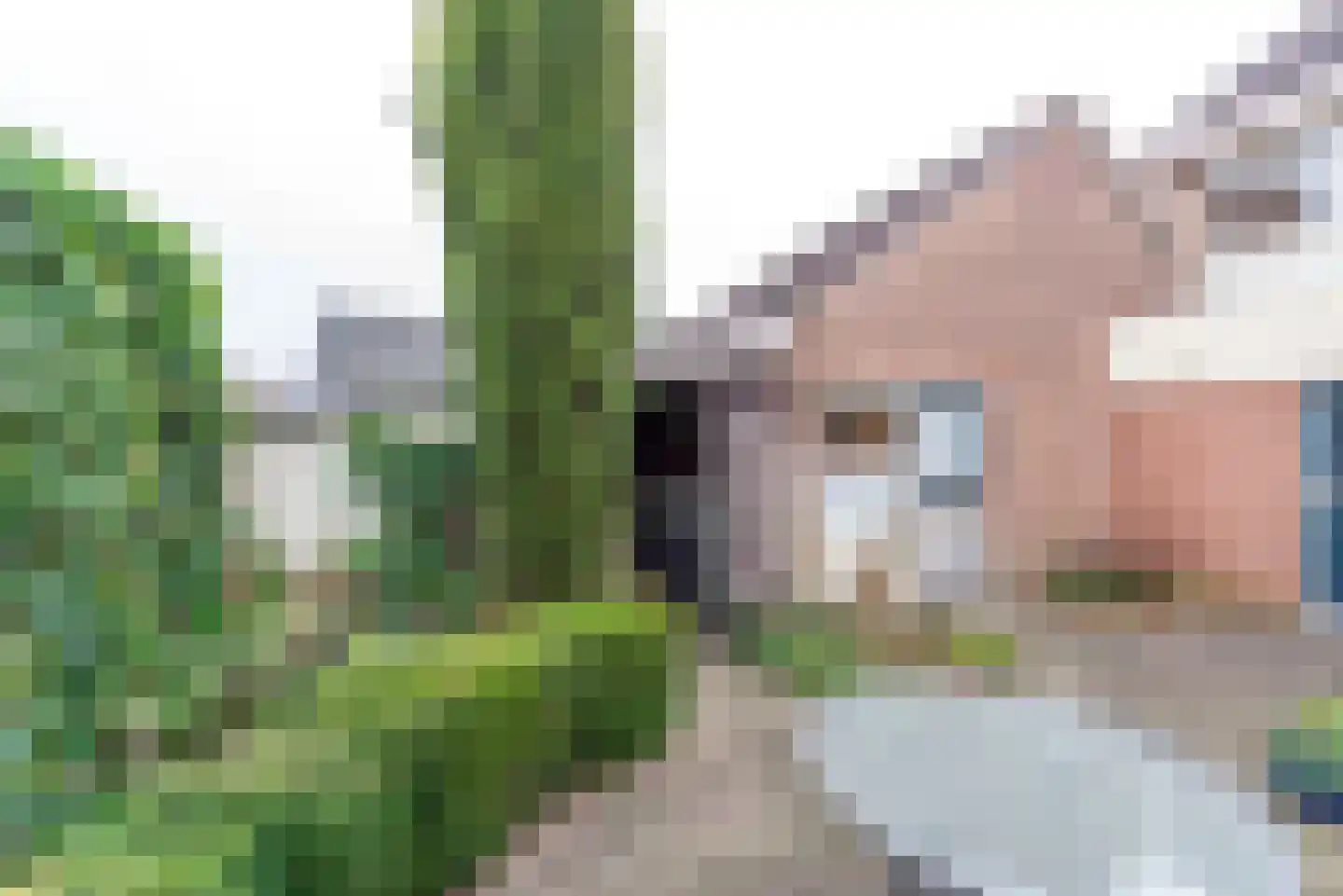 Vosbergerweg 23 Heerde thumbnail 40