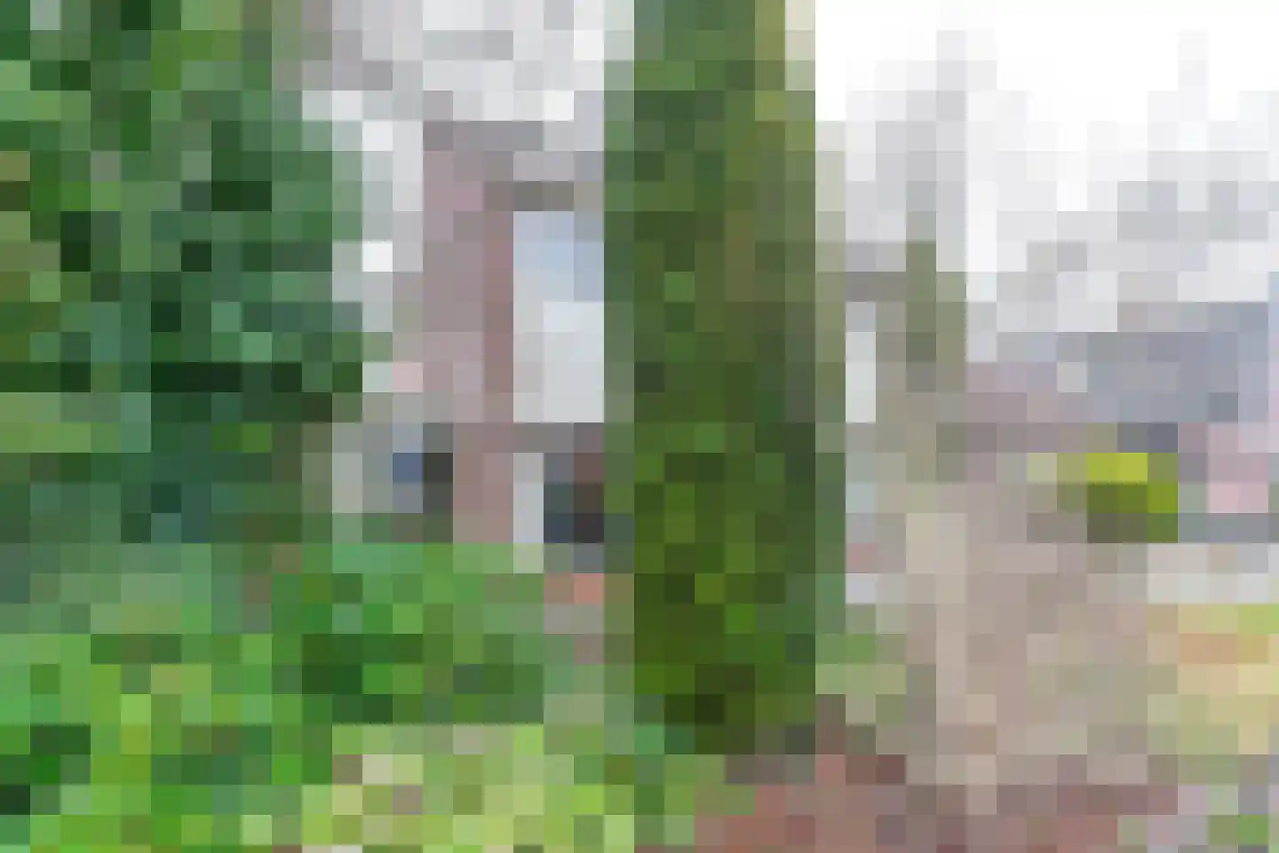 Vosbergerweg 23 Heerde thumbnail 5
