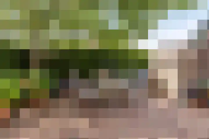 Vosbergerweg 26 Heerde thumbnail 37