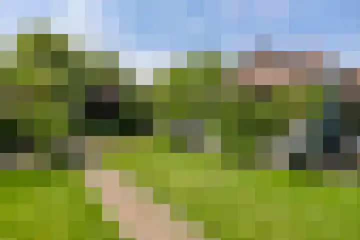 Vosbergerweg 26 Heerde thumbnail 42