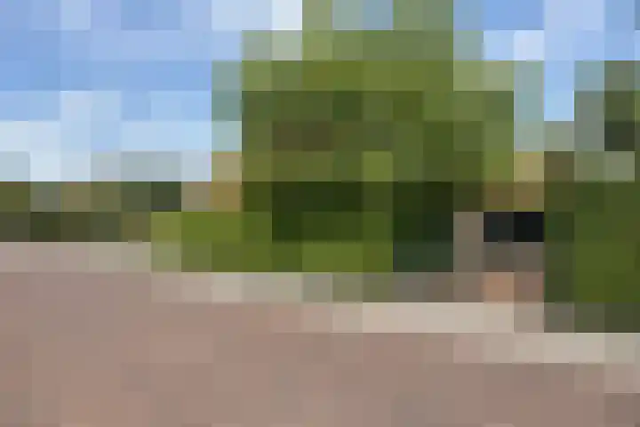 Vosbergerweg 26 Heerde thumbnail 50