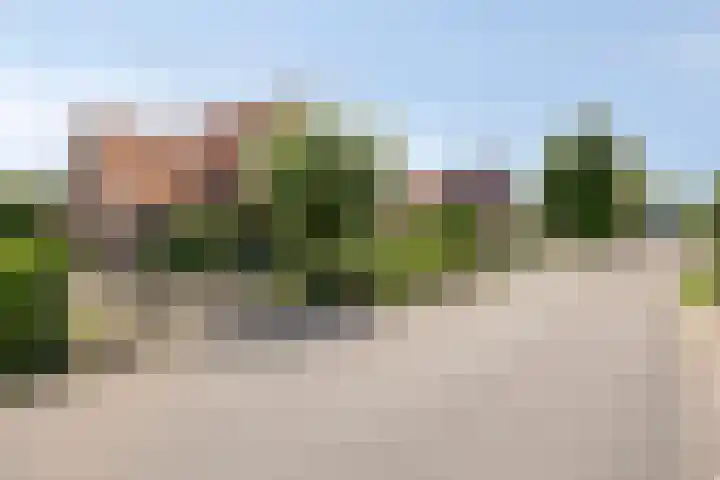Vosbergerweg 26 Heerde thumbnail 53