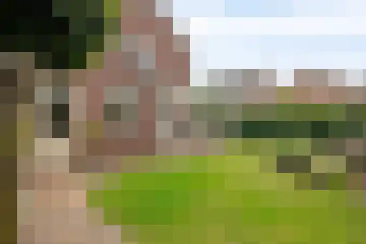 Vosbergerweg 27 Heerde thumbnail 34
