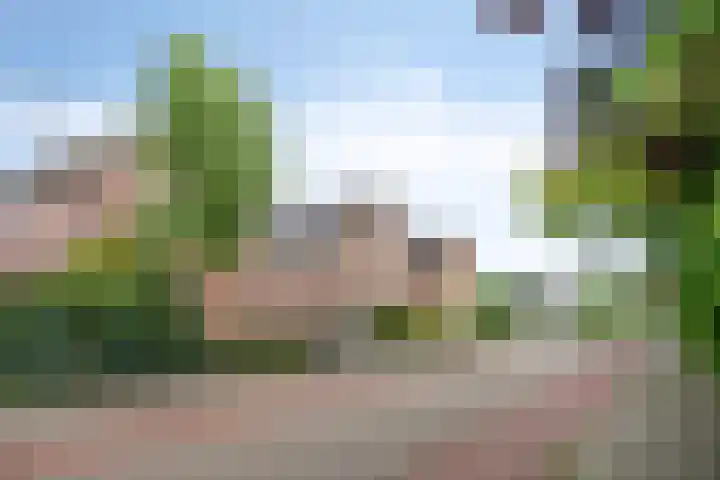Vosbergerweg 27 Heerde thumbnail 40