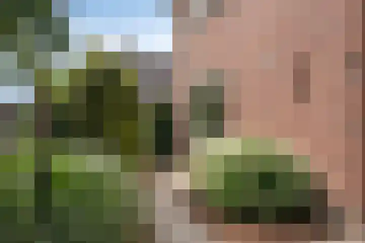 Vosbergerweg 27 Heerde thumbnail 5