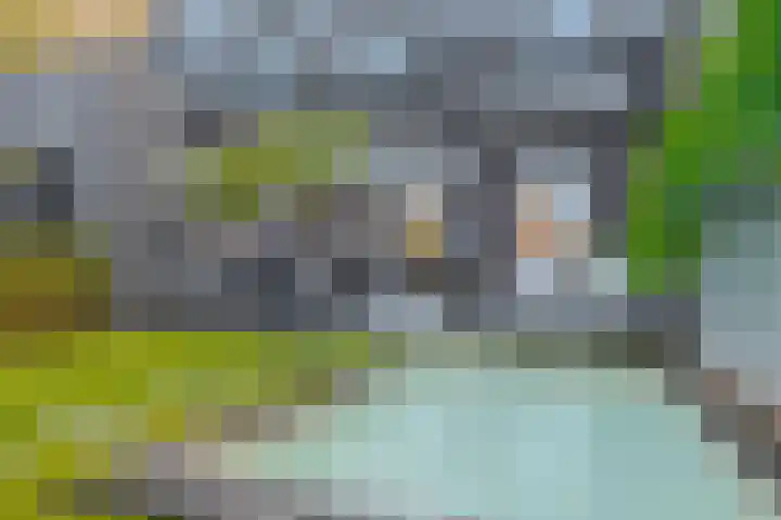 Vosbergerweg 61 Heerde thumbnail 4