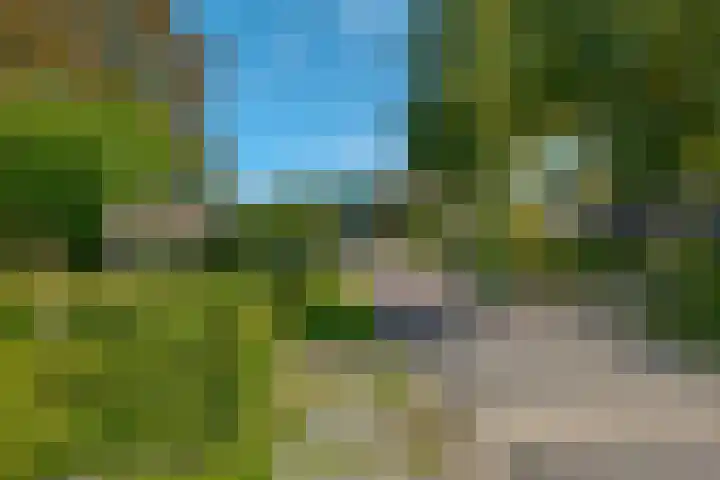 Vosbergerweg 61 Heerde thumbnail 5