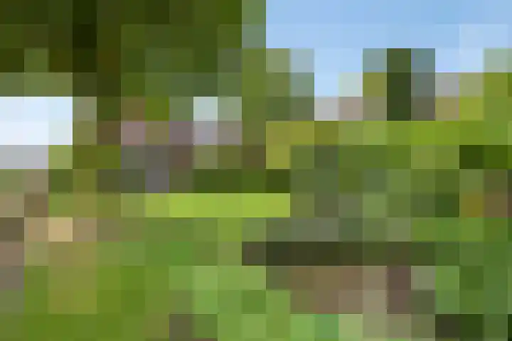 Vosbergerweg 62 Heerde thumbnail 51