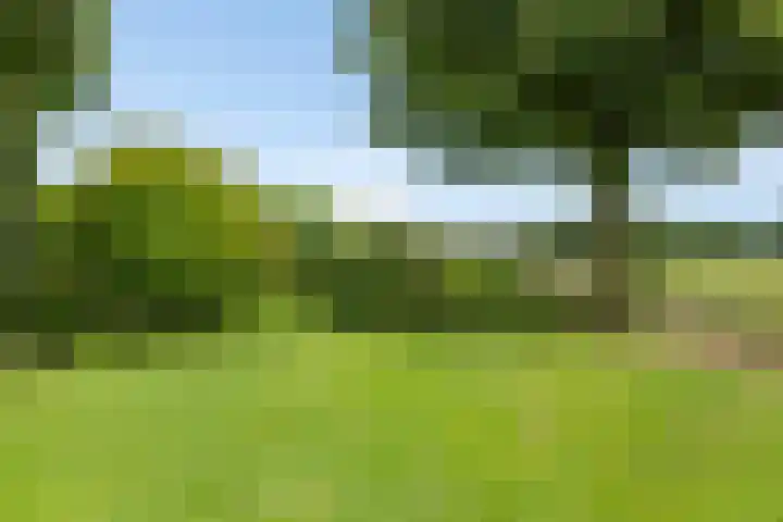 Vosbergerweg 62 Heerde thumbnail 52