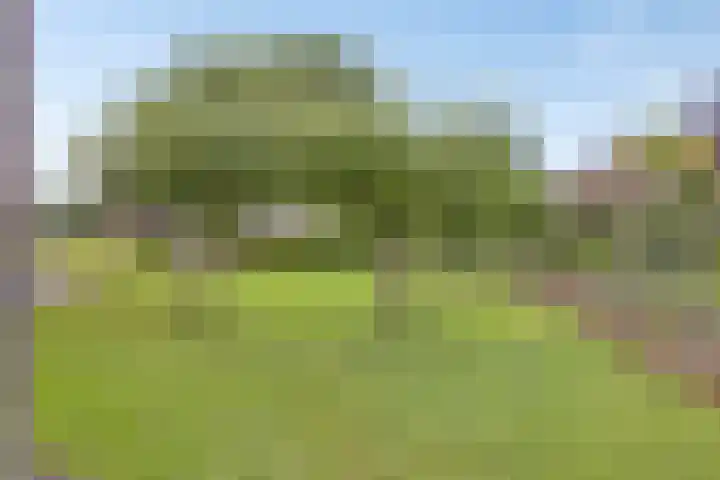 Vosbergerweg 62 Heerde thumbnail 57