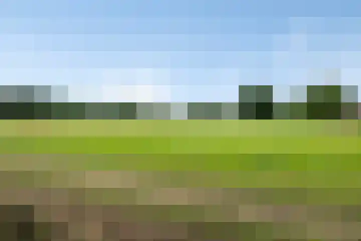 Vosbergerweg 62 Heerde thumbnail 59