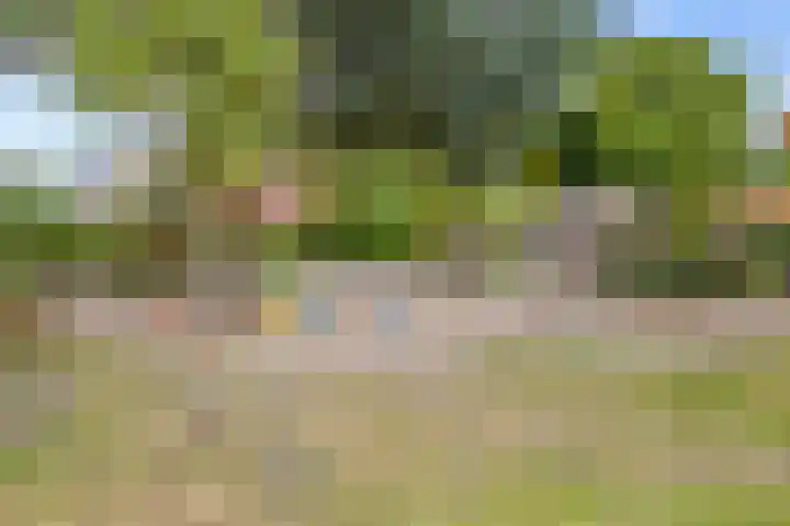 Vosbergerweg 62 Heerde thumbnail 61