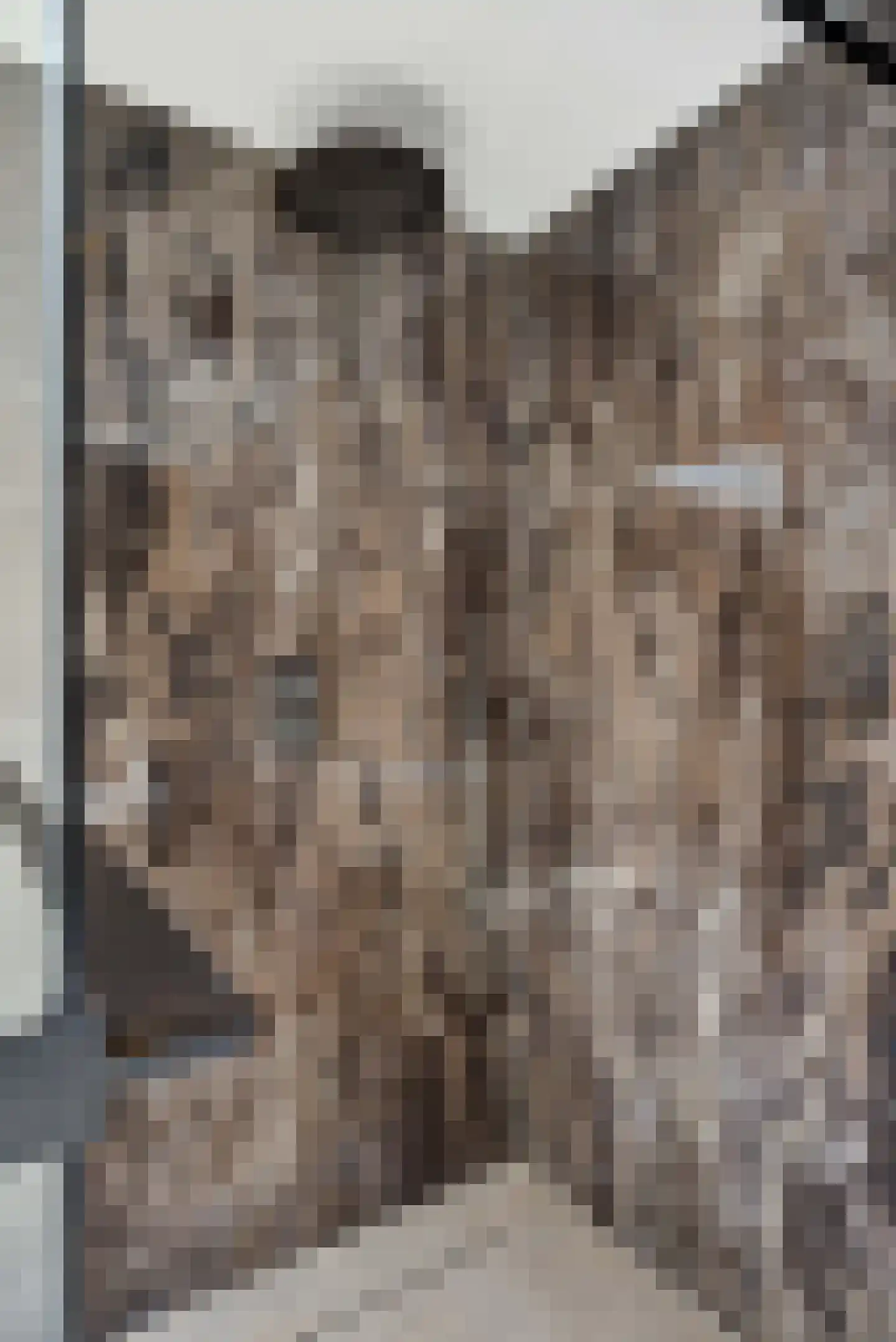 Vosbergstraat 17 a Heesch thumbnail 20