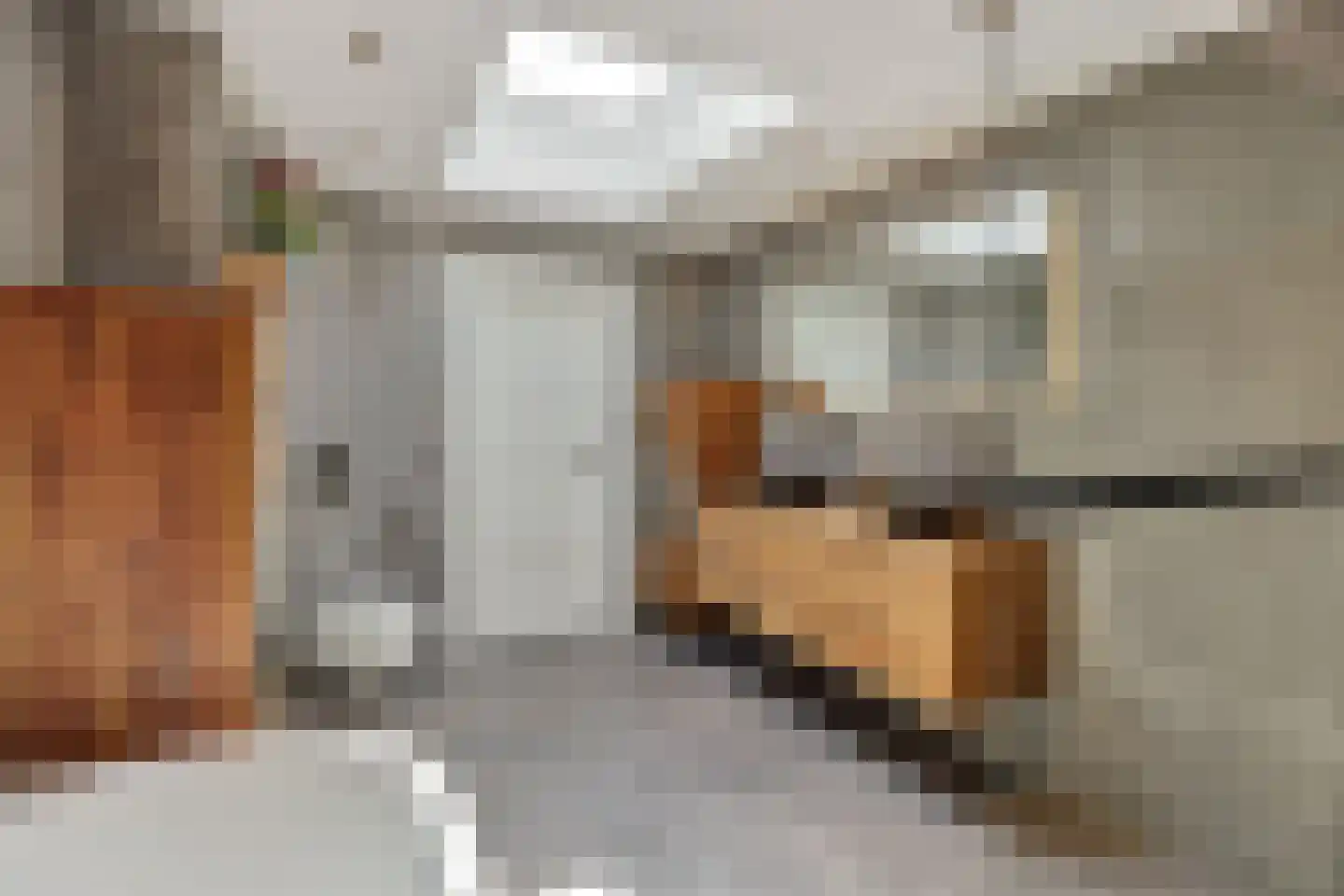 Vosbergstraat 17 a Heesch thumbnail 21