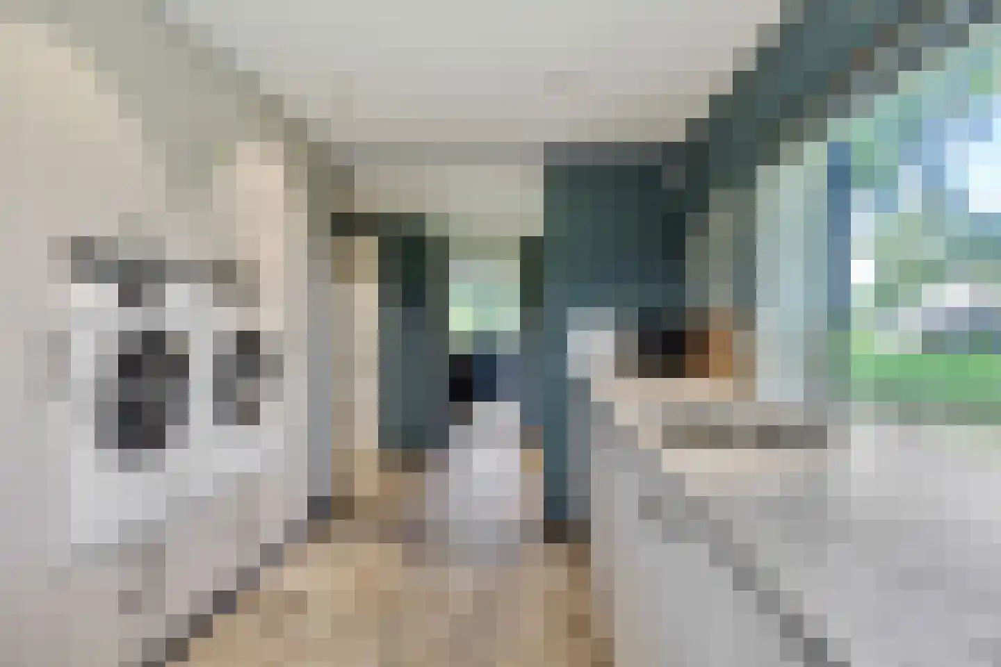 Vosbergstraat 17 a Heesch thumbnail 32