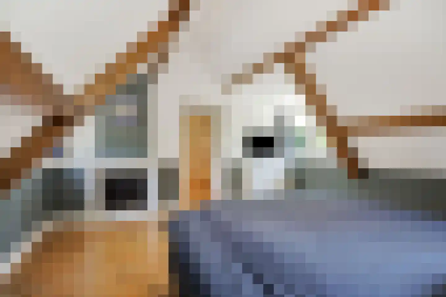 Vosbergstraat 17 a Heesch thumbnail 35