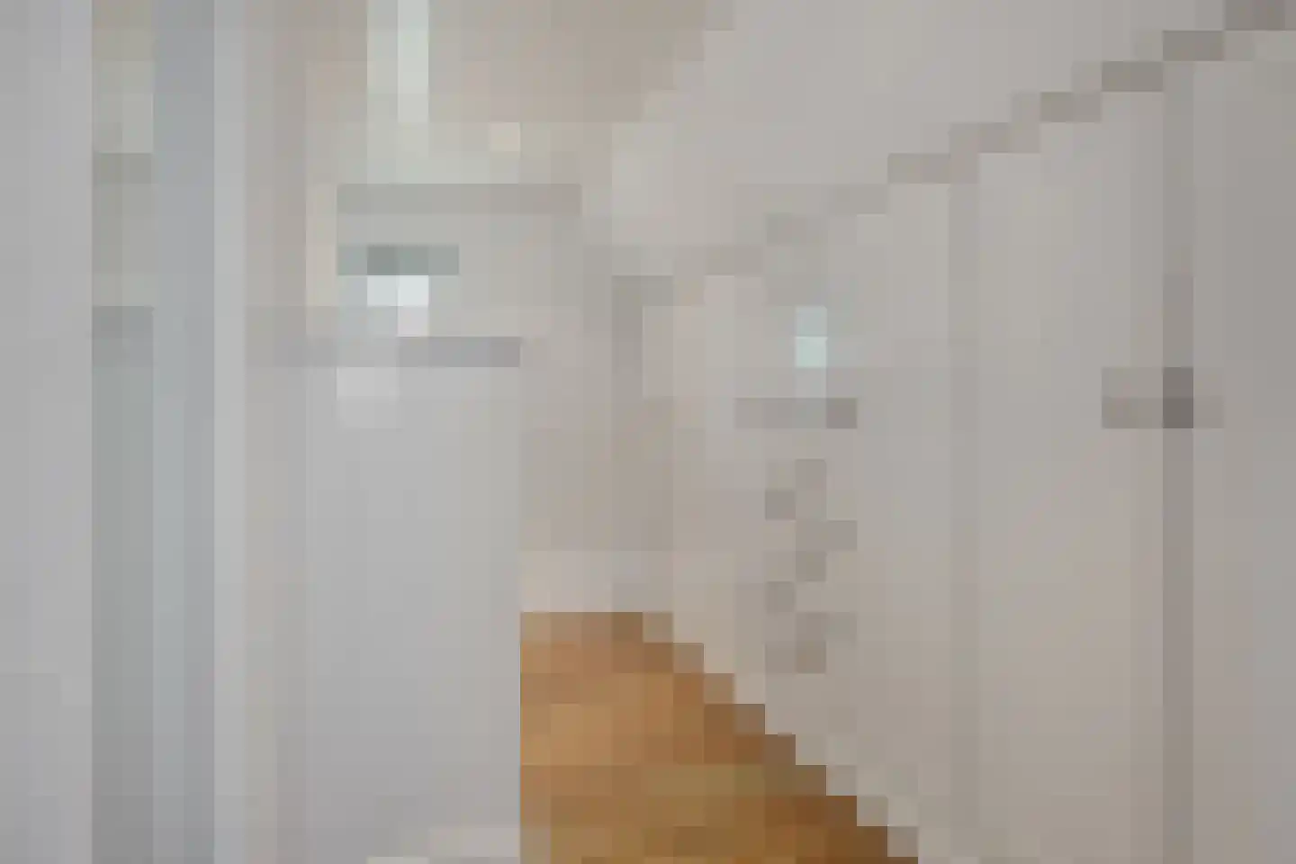 Vosbergstraat 17 a Heesch thumbnail 36