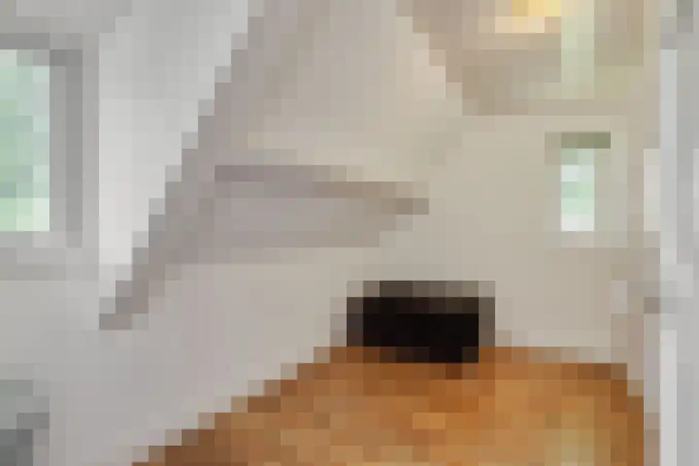 Vosbergstraat 17 a Heesch thumbnail 37