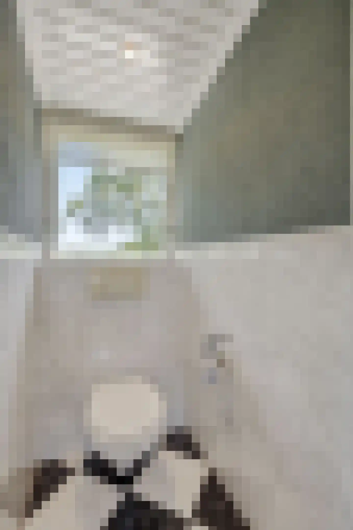 Vosbergstraat 17 a Heesch thumbnail 38