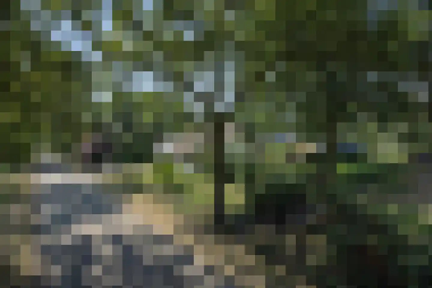 Vosbergstraat 17 a Heesch thumbnail 79