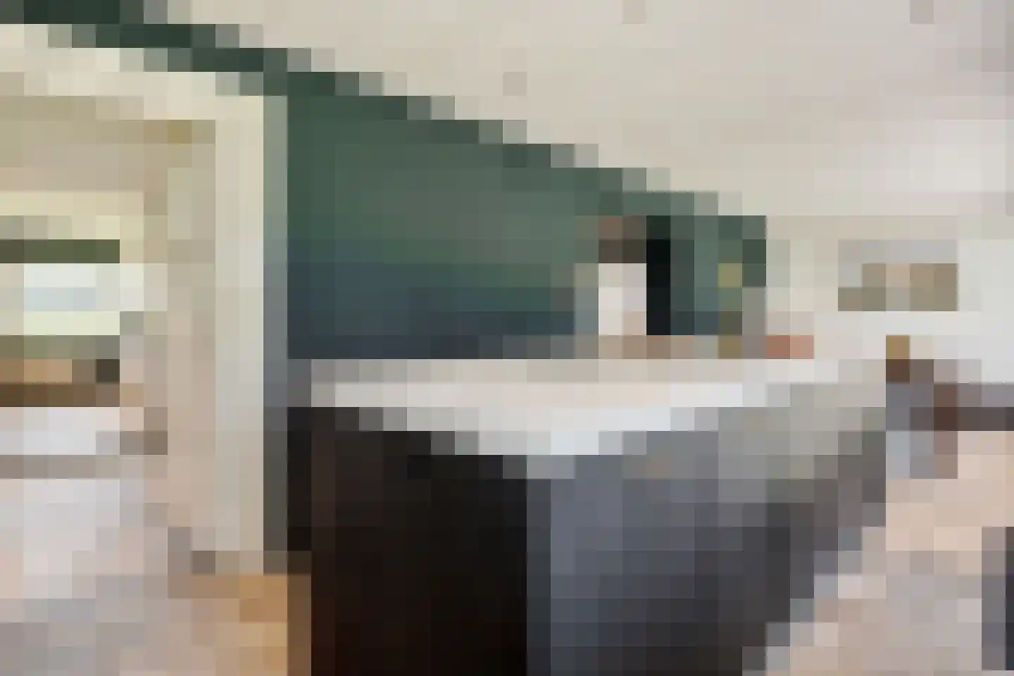 Vosbergstraat 17 a Heesch thumbnail 8