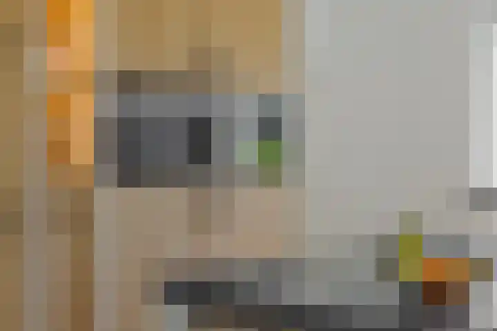 Vosbergstraat 8 Heesch thumbnail 14