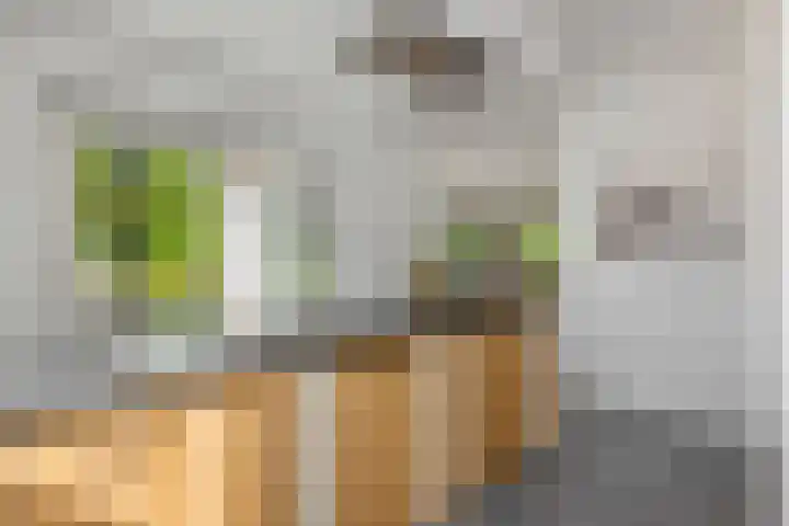 Vosbergstraat 8 Heesch thumbnail 16