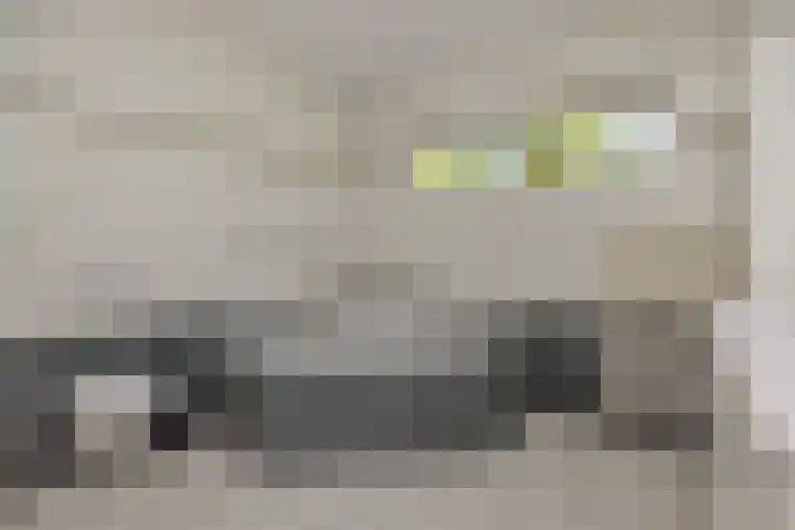 Vosbergstraat 8 Heesch thumbnail 22
