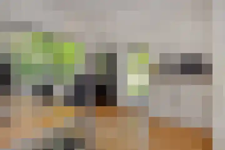 Vosbergstraat 8 Heesch thumbnail 38
