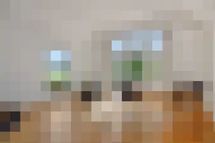 Vosbergstraat 8 Heesch thumbnail 39