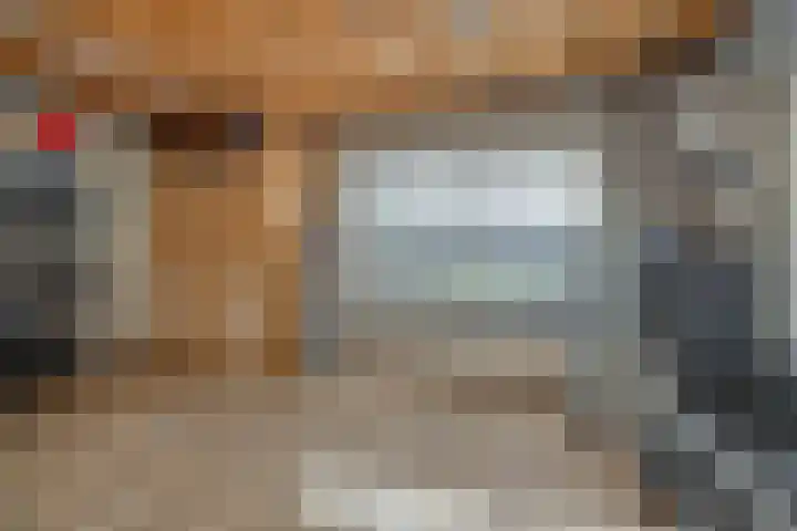 Vosbergstraat 8 Heesch thumbnail 44
