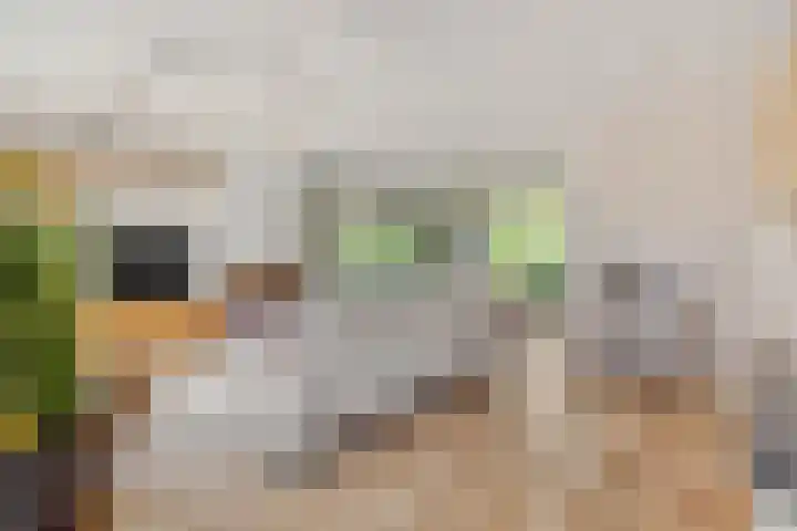 Vosbergstraat 8 Heesch thumbnail 5