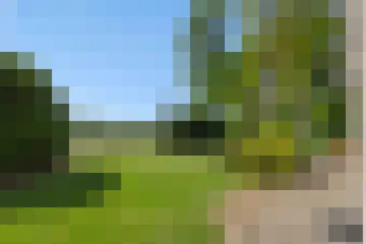 Vosbergstraat 8 Heesch thumbnail 50