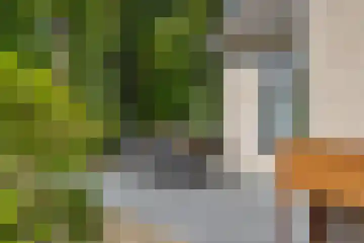 Vosbergstraat 8 Heesch thumbnail 51