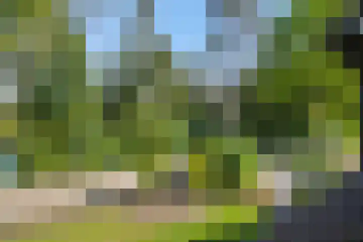 Vosbergstraat 8 Heesch thumbnail 58