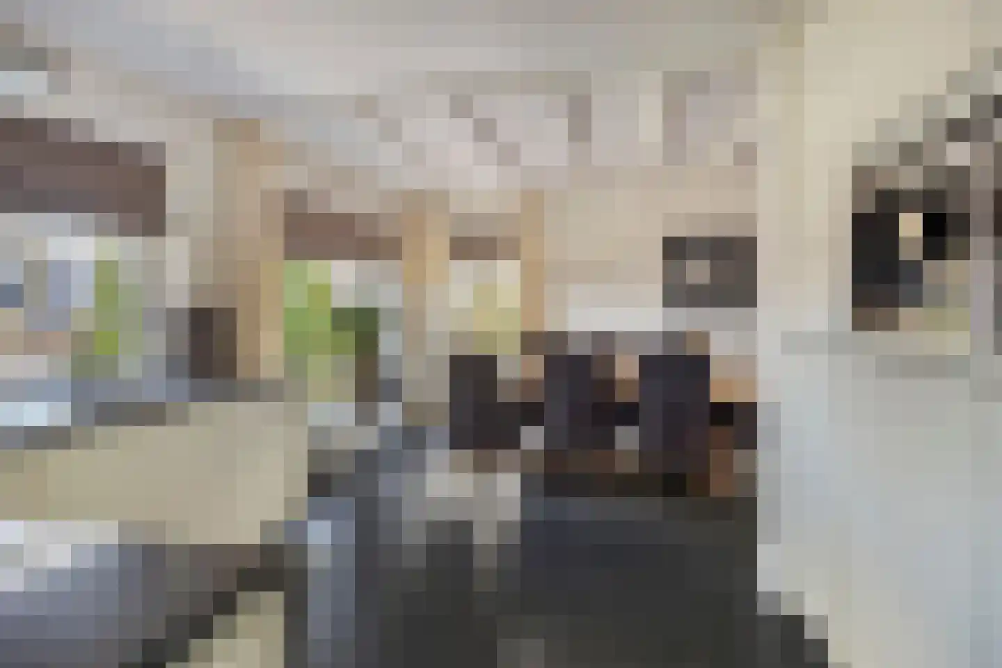 Vosboerweg 26 Hengelo thumbnail 12