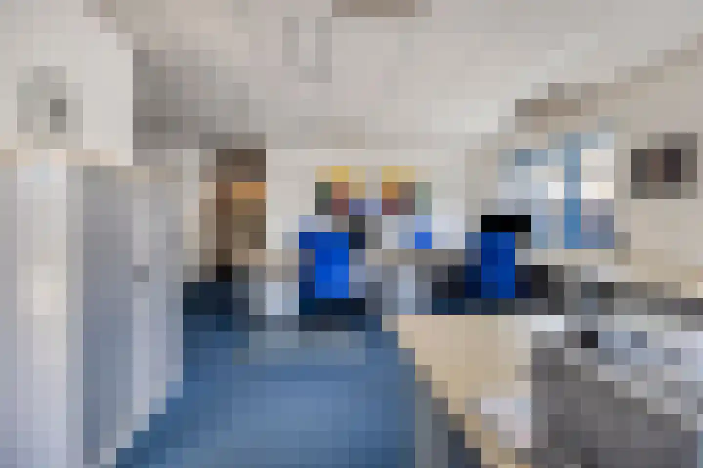 Vosboerweg 26 Hengelo thumbnail 43