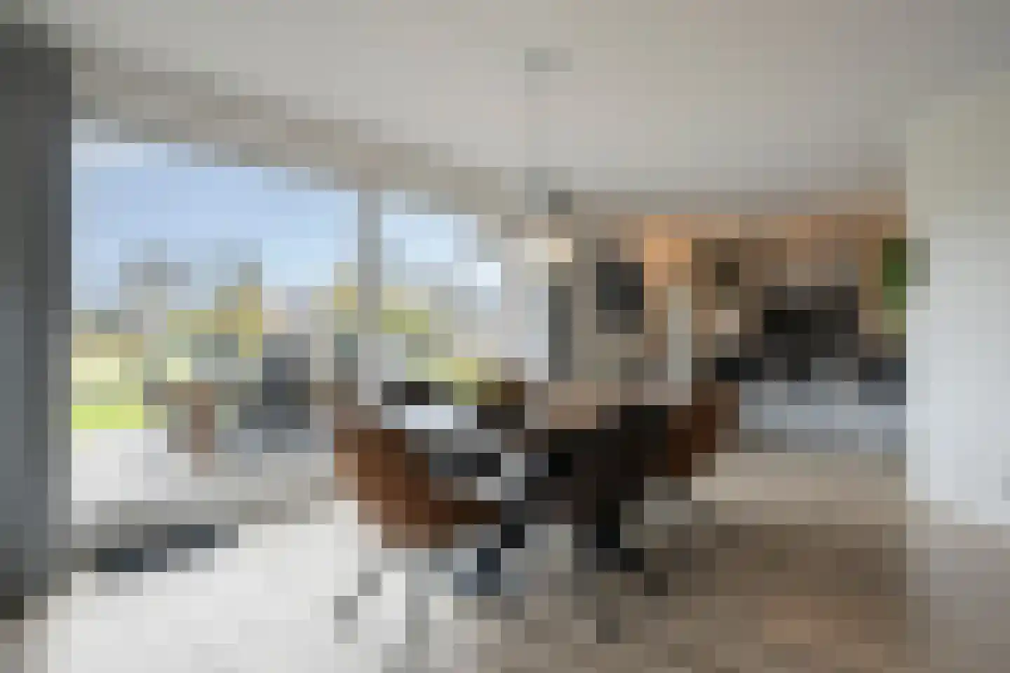 Vosbultkamp 37 Overdinkel thumbnail 16