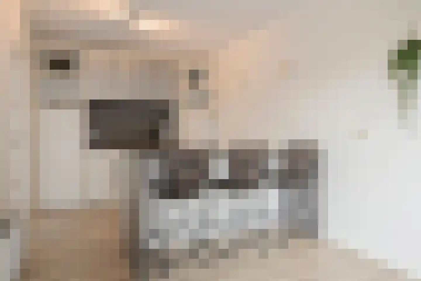 Vosbultkamp 37 Overdinkel thumbnail 19